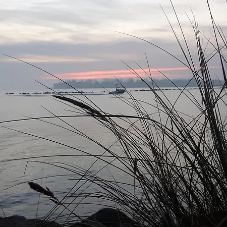 Genua Burgtiefe auf Fehmarn